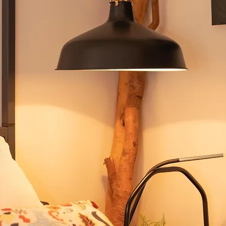 Semesterbostad Maisonnette Jacuzzi Exterieur Chauffe 5mn Lille *