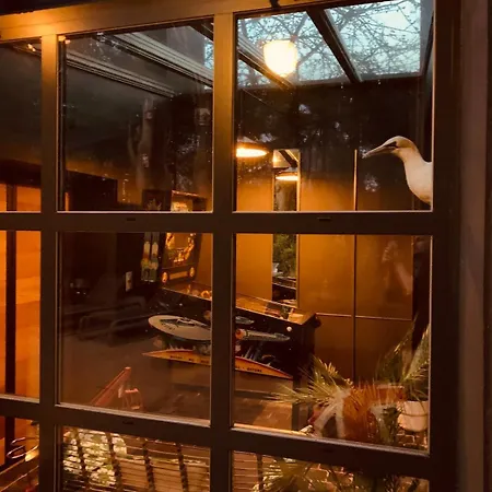 Maisonnette Jacuzzi Exterieur Chauffe 5mn Lille بيت للعطل Saint-Andre-lez-Lille