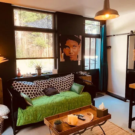 Maisonnette Jacuzzi Exterieur Chauffe 5mn Lille *