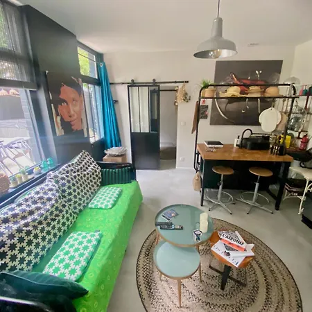 Hébergement de vacances maison d'hôtes jacuzzi ext privé 10mn Lille centre Saint-Andre-lez-Lille